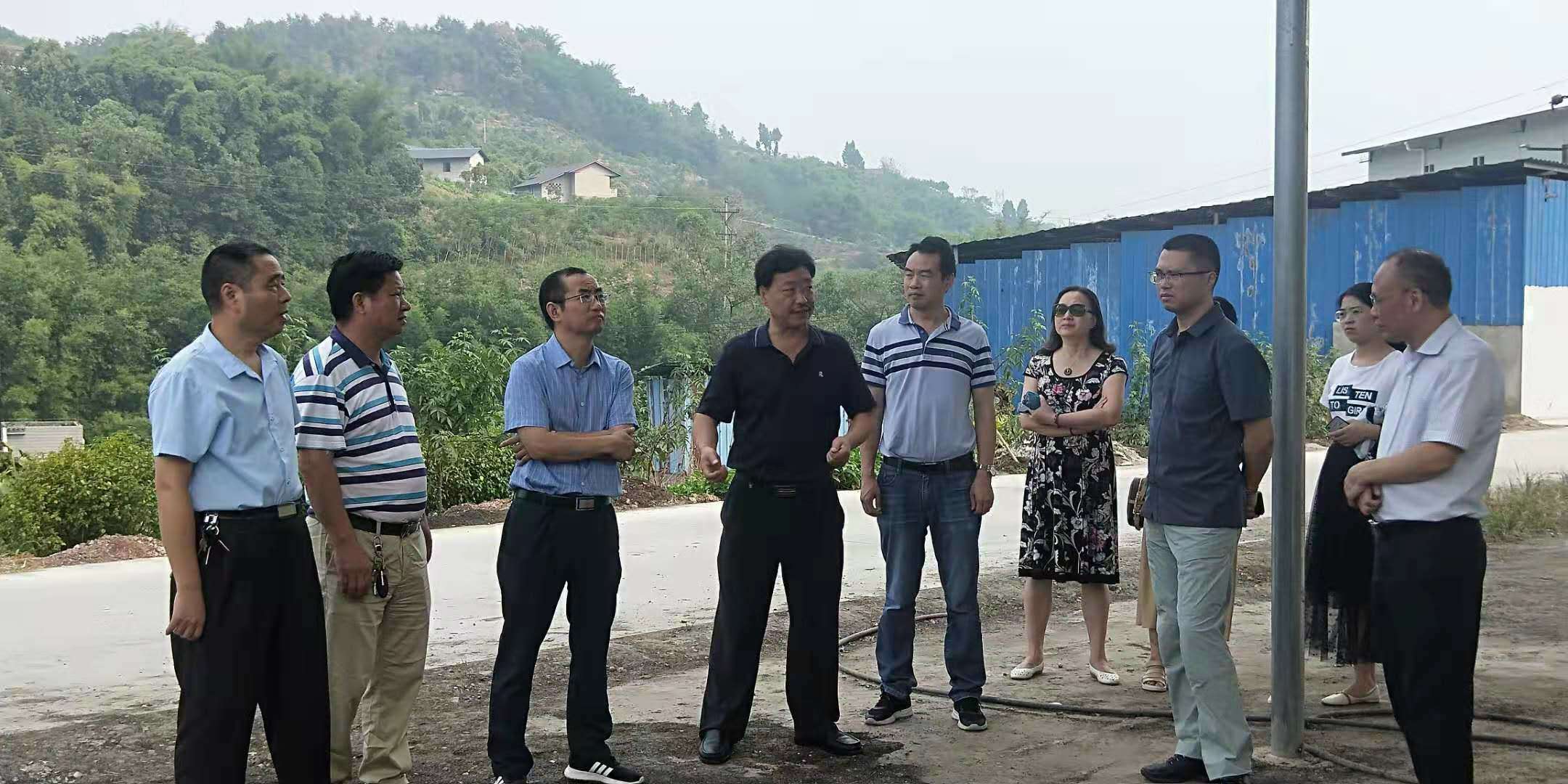 市、區農委領(lǐng)導來(lái)公司指導花椒枝干資源化利用