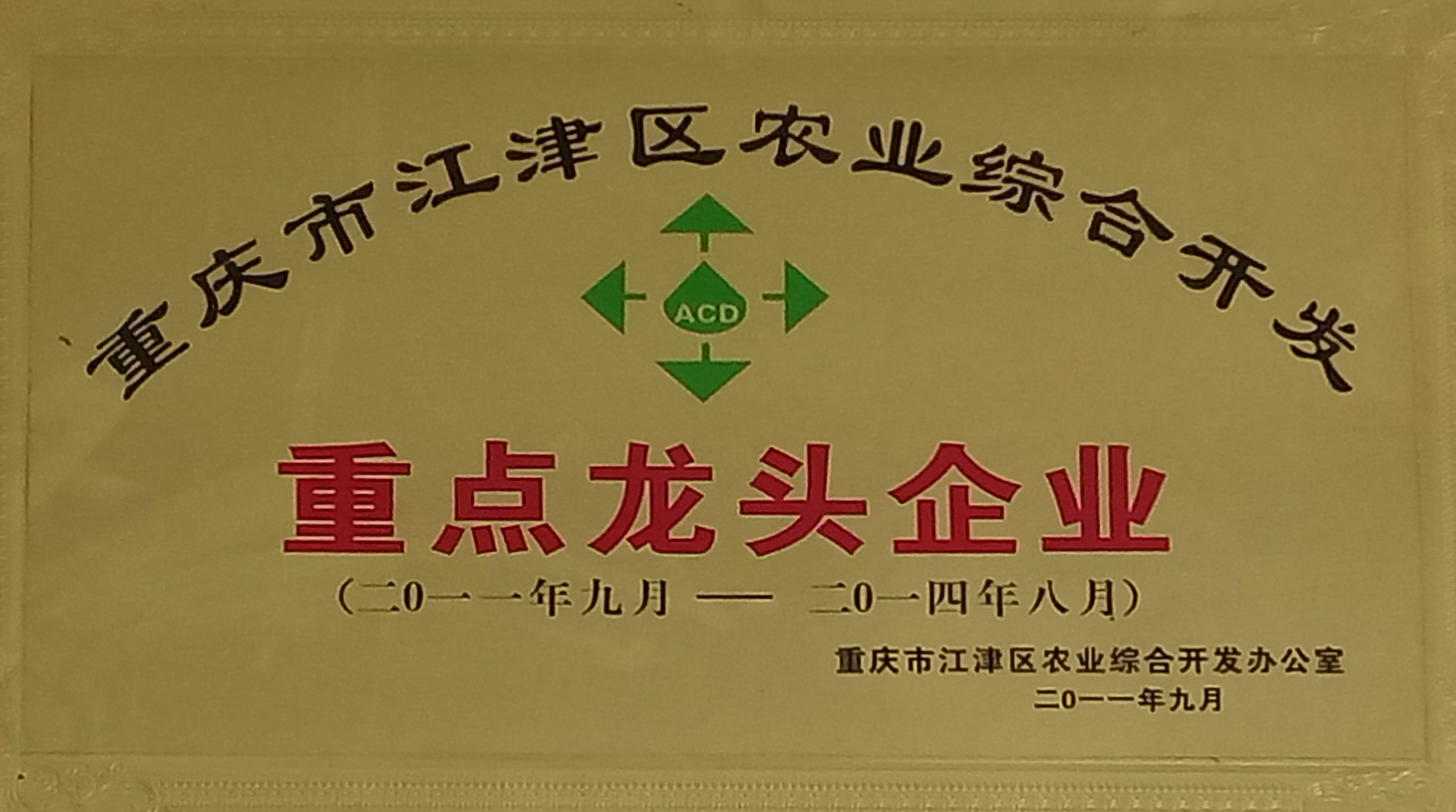 重點(diǎn)龍頭企業(yè)
