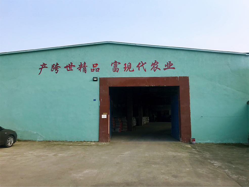 廠(chǎng)區.jpg
